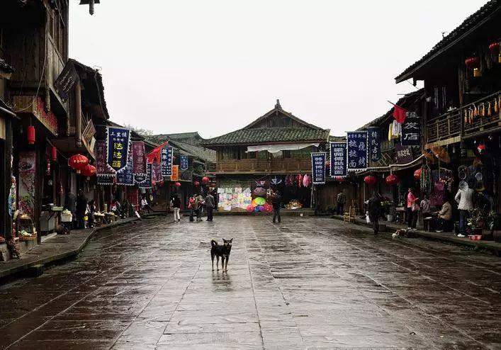 沪江开心词场